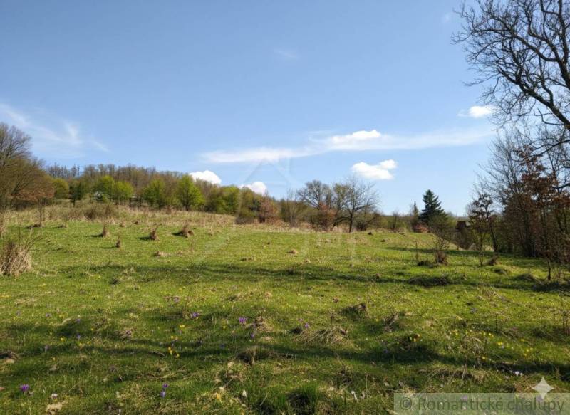 Meadow in Krupina for Land - housing, with flowers and maintained greenery.