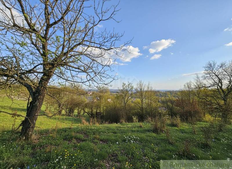 A view of blooming meadows and trees with a view of Krupina, Land - housing.