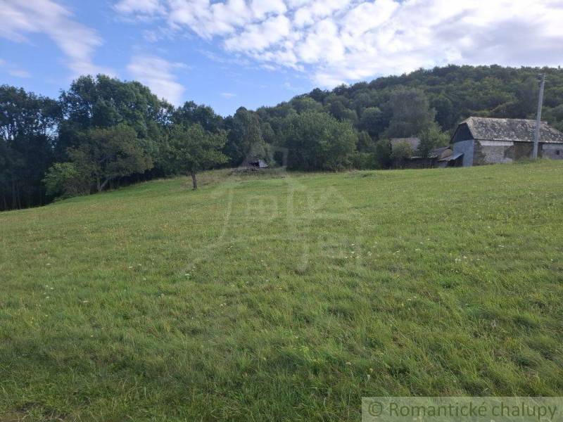 Meadow and buildings in Land - housing in Horný Tisovník, surrounded by forest.