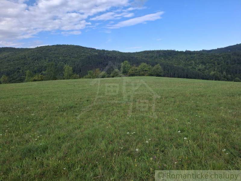 A green meadow surrounded by forests in Horný Tisovník, ideal for residential plots.