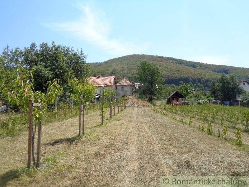 A family house in Šiatorská Bukovinka with a large garden and vineyard, surrounded by nature.