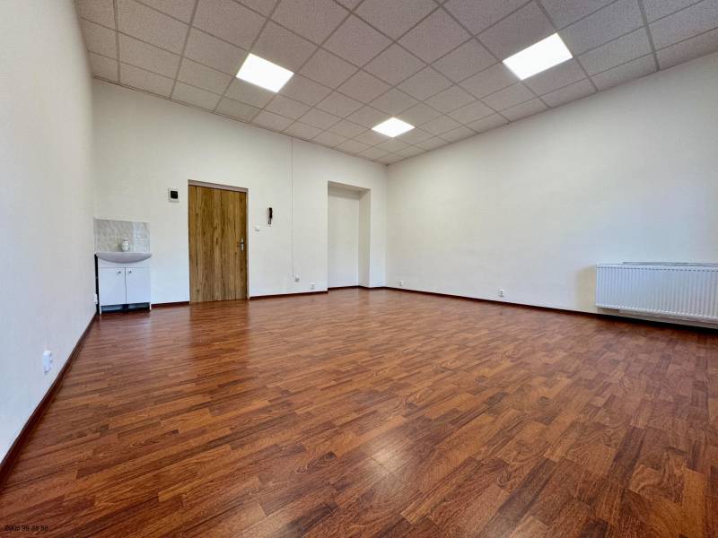 Office with a sink and a wooden floor.