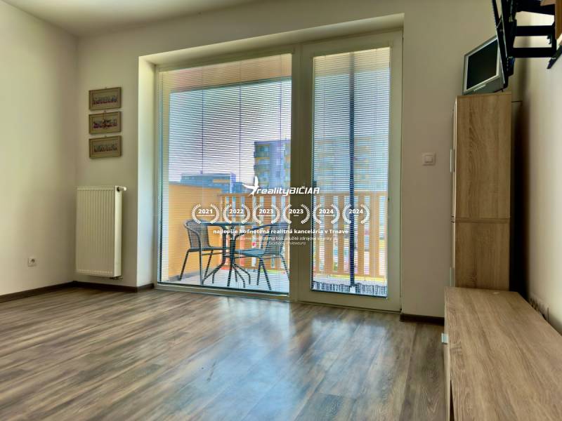 Living room in a two-room apartment with wood-patterned flooring and access to a balcony.