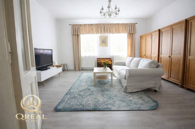 Living room in a studio apartment with a sofa, television, and wood-patterned flooring.