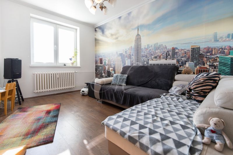 Living room in a two-room apartment with a sofa, colorful carpet, and a mural of a city.