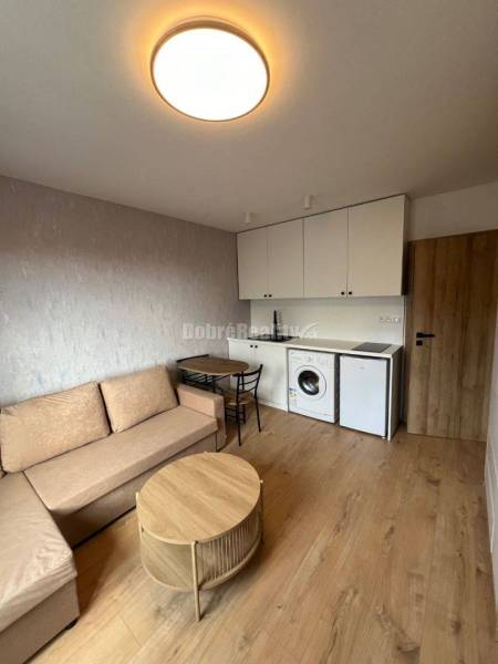 Studio apartment with wood-patterned flooring, a sofa, a table, and a basic kitchenette.