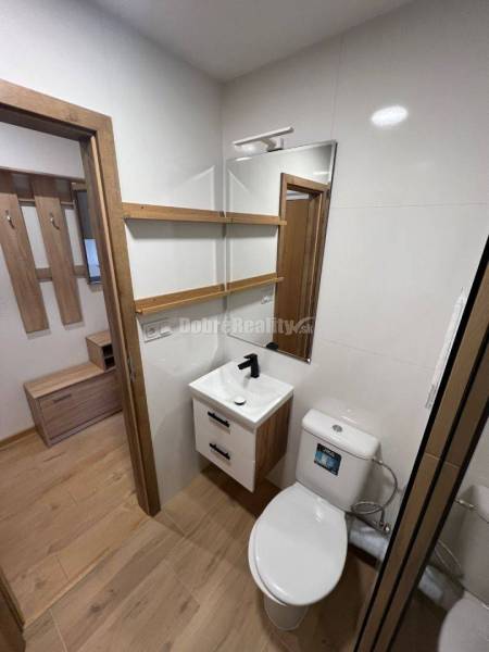 A studio apartment with a wooden floor, a small bathroom with a mirror and a sink.