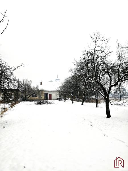 A snowy yard of a family house in Kameňany with fruit trees.