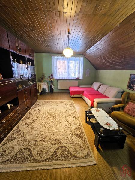 Living room with a carpet, sofa, and wood-patterned flooring in a family house.
