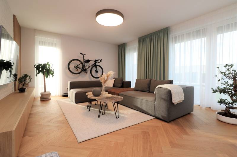 Bright living room in a 4-room apartment with a sofa, bicycle, wooden decor flooring, and plants.