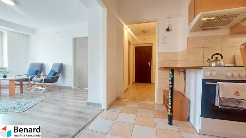 Kitchen with living room, white walls, wood-patterned floor, 2-room apartment.