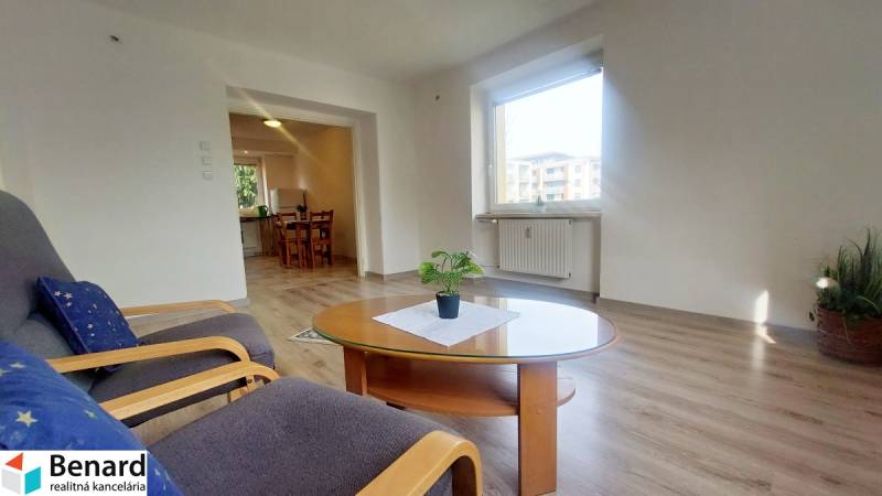 Living room of a two-room apartment with a window, floor with wooden decor, and a table with a plant.