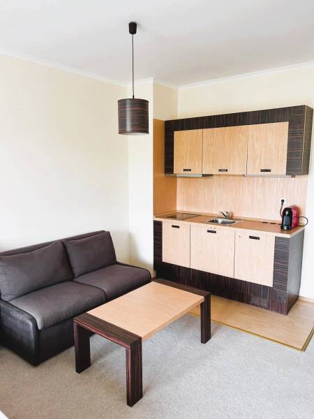 Compact 1-room apartment with a sofa, kitchen, and table with a wooden decor.