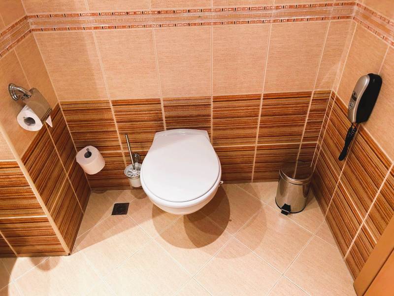 Bathroom with toilet, tiles, and wall tiles in warm shades.