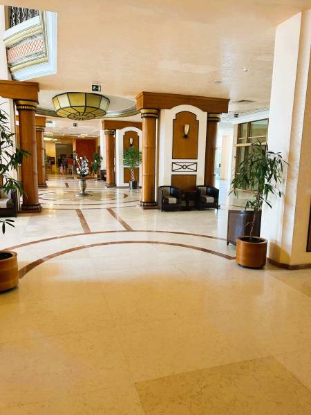 An elegant hotel corridor with decorative columns and potted plants.