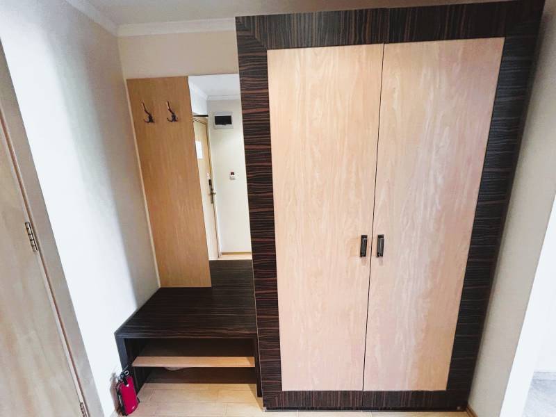 Entrance hallway with wooden decor, wardrobe, and coat rack in a studio apartment.