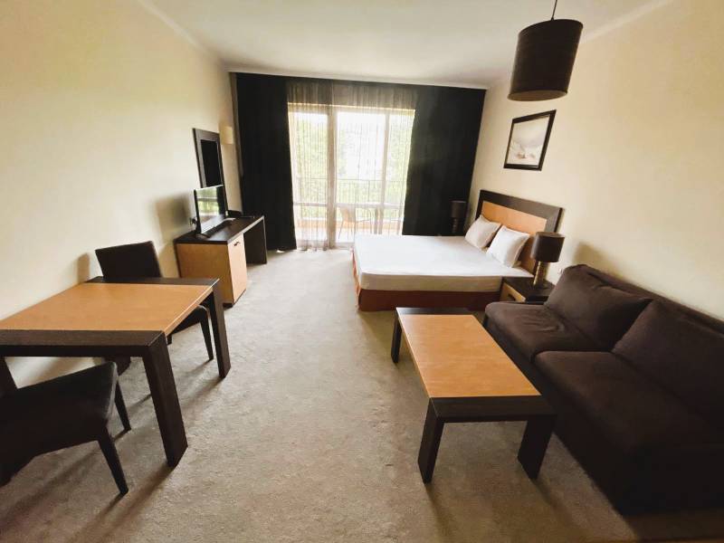 Interior of a 1-room apartment with a sofa, bed, and dining table.