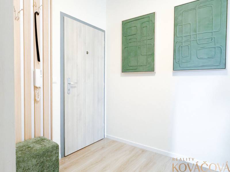 Entrance hallway in a 3-room apartment with a wood-patterned floor and green paintings.