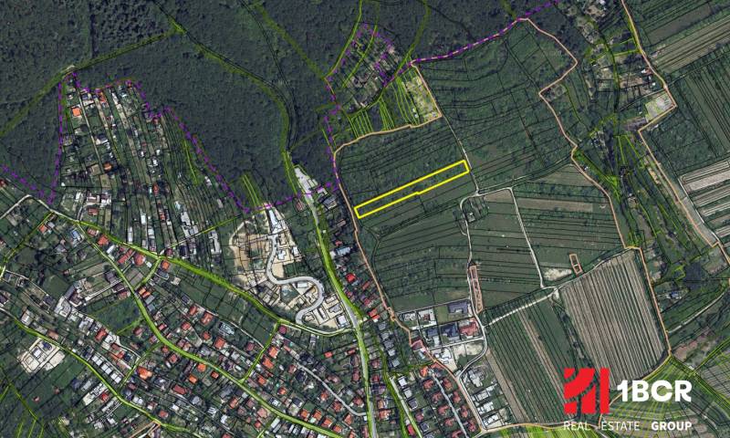 Aerial view of vineyards in Bratislava - Rača, specifically in the area of Fongová Street.