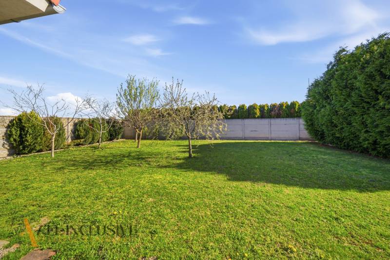 The garden of the family house in Kútniky with a lawn and fruit trees.