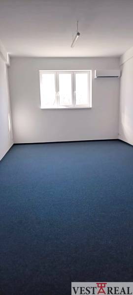 Offices with blue carpet and a window, located on Chovateľská Street in Trnava.