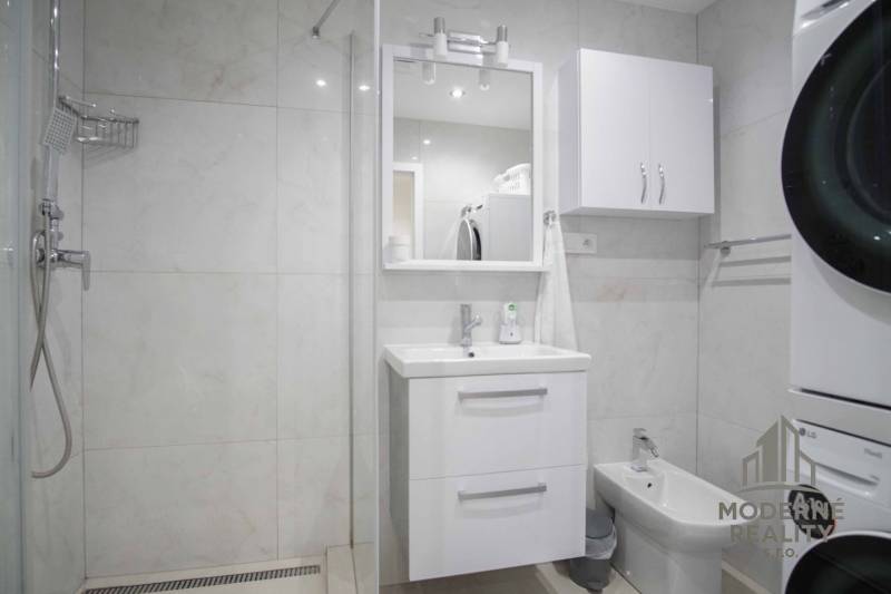 A bathroom in a 2-room apartment with a sink, shower, and washing machine.
