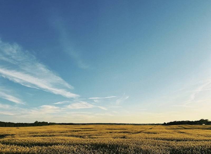 Agricultural and forest lands in Častá with an extensive meadow under a blue sky.