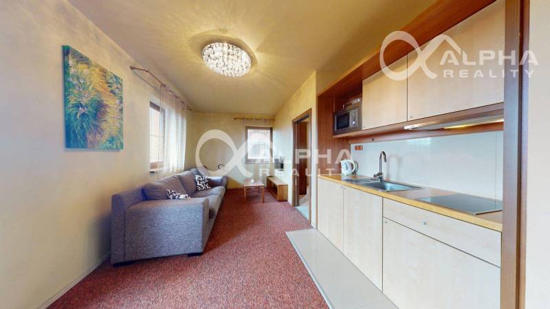 Living area of a 2-room apartment with a kitchen unit, sofa, and decorative lighting.