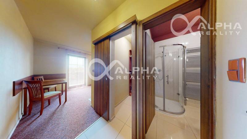 Interior of a 2-room apartment with carpet, glass shower, and wooden doors.