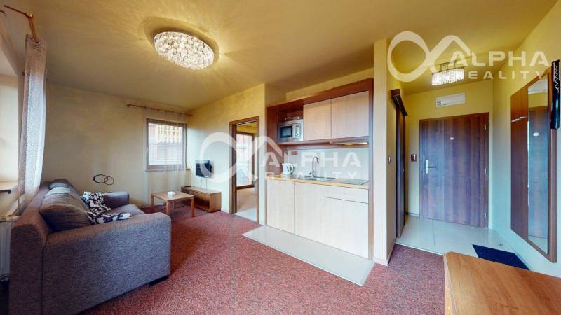 Living room in a two-room apartment with a sofa and a kitchenette.