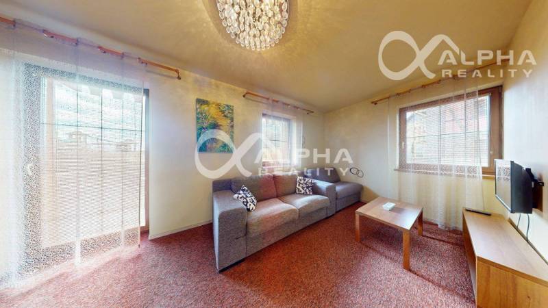 Living room in a two-room apartment with a sofa, carpet, and ceiling light.