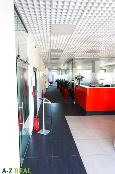 A hallway in offices with a red reception, plants in red pots.