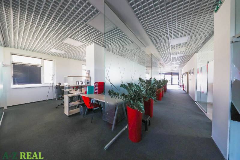 Offices with glass walls, red decorative plants, and carpet.