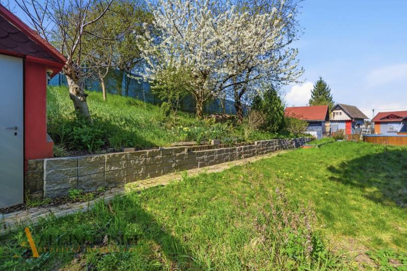 Gardens in Kráľová nad Váhom with a blooming tree and greenery on the slope.