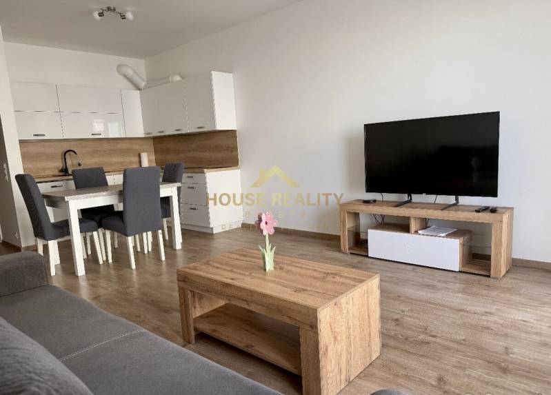 Living room with a kitchenette, dining table, and television in a 2-room apartment with a wood-patterned floor.