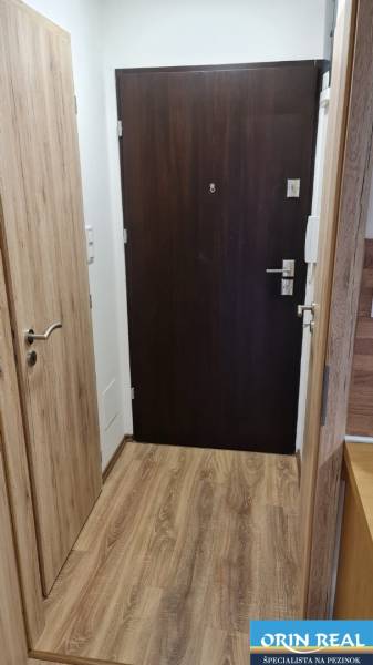 The entrance hallway of a studio apartment with dark doors and a wooden-patterned floor.