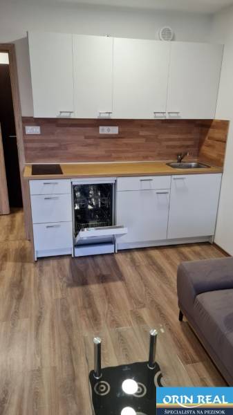 A studio apartment kitchen with white cabinets, a dishwasher, and wood-patterned flooring.