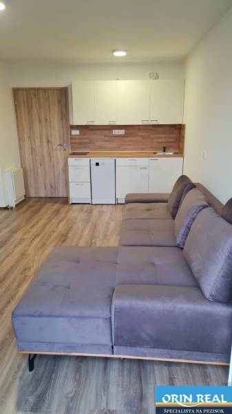 Studio apartment with a kitchenette, gray sofa, and wood-patterned flooring.