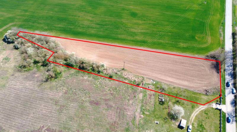 Aerial view of plots in Ondrejovce, gardens bordered by a line of trees.