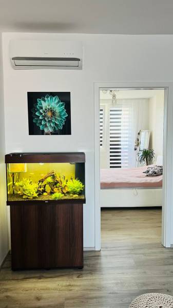 Aquarium and wooden decor flooring in a 3-room apartment, transition to a bright bedroom.