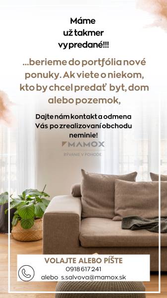 A bright living room with a comfortable sofa and a plant, a 2-room apartment with a wooden decor floor.