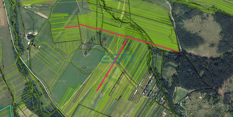 Aerial photograph of agricultural and forest land in Stránske with cadastral lines.