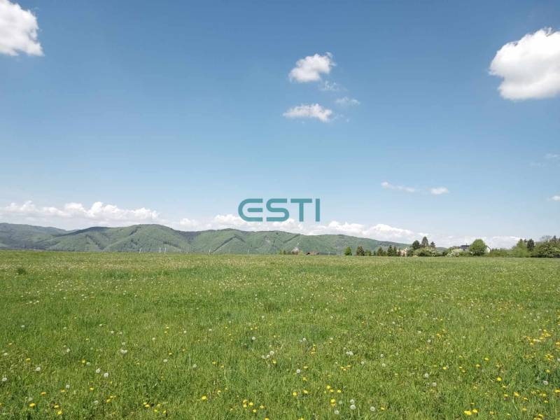 Agricultural and forest land in Kunerad, a blooming field with mountains in the background.