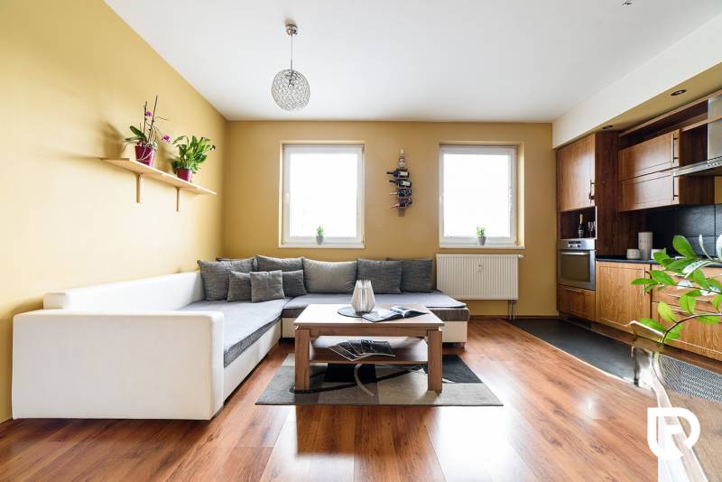 Living room in a two-room apartment with a kitchen and a wooden decor floor.