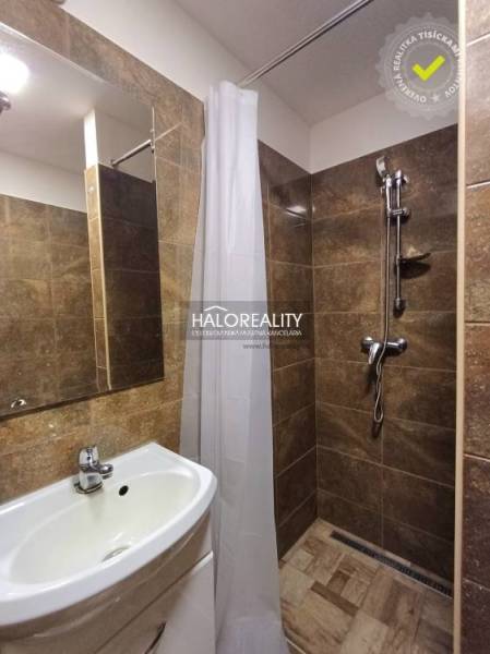 Bathroom in a studio apartment with a sink, mirror, and shower on dark tiles.