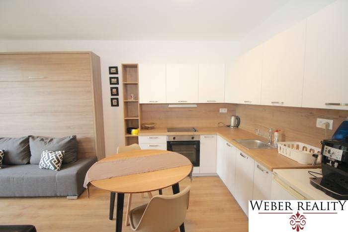 Compact kitchen and living area with wood-patterned flooring in a studio apartment.