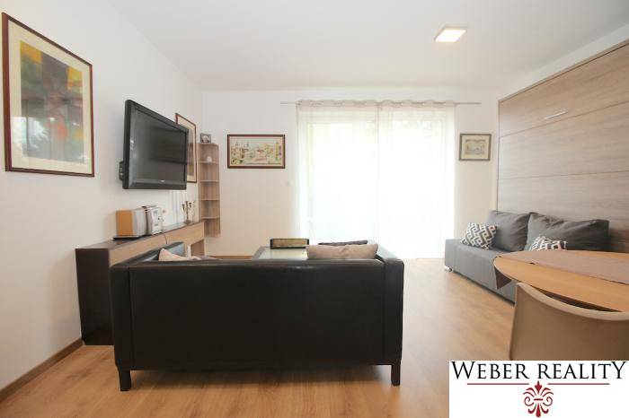 1-bedroom apartment with a sofa, TV, wooden floor decor, and large windows.