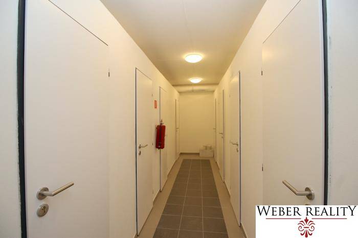Hallway with light walls and doors, 1-bedroom apartment, storage space.