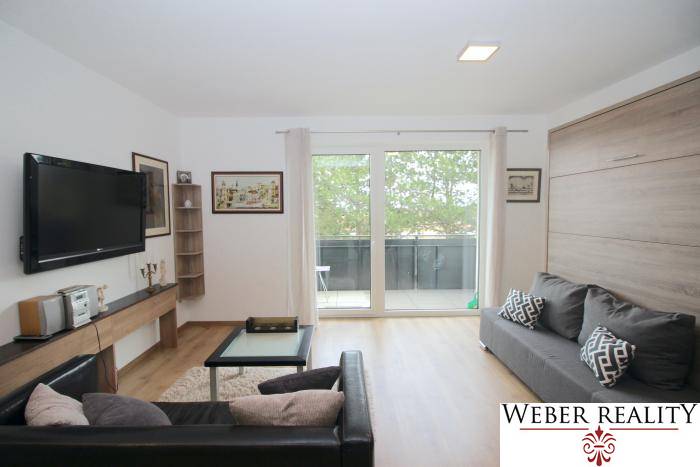 Living room in a one-bedroom apartment with a TV, sofas, and a wooden decor floor.