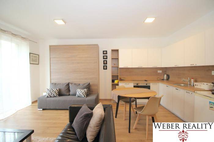 Living room with kitchen in a studio apartment with a wooden decor floor.